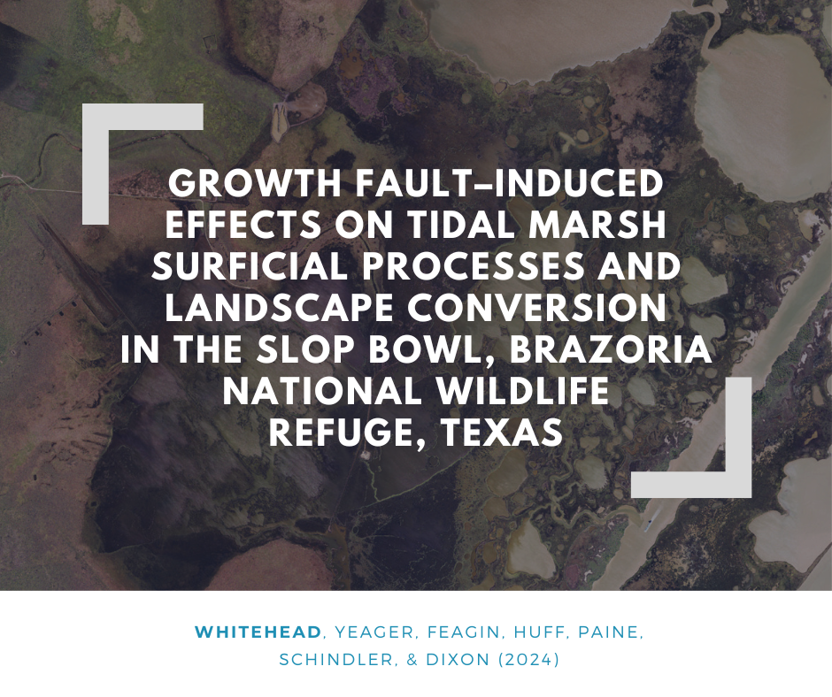 Growth fault-induced effects on tidal marsh surficial processes and landscape conversion